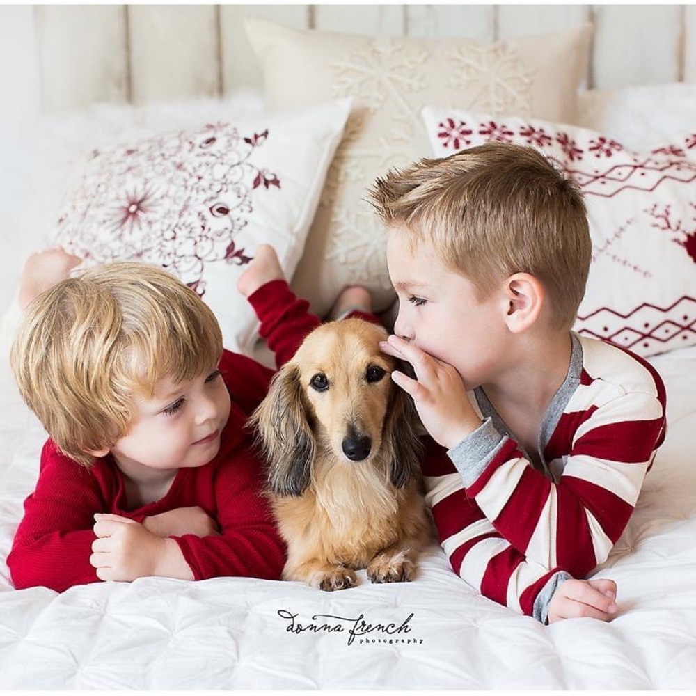 Winter Christmas Holiday Pillow Covers 18x18”